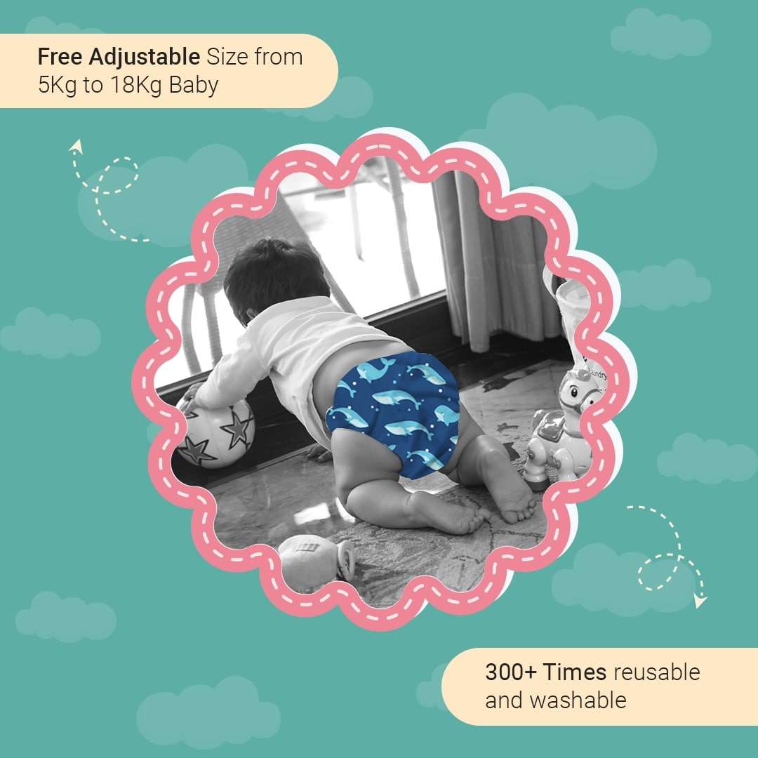 Little Pea Adjustable Cloth Diapers Pack of 6 (3 Months to 3 Years)