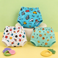 Padded Underwear Pack of 3