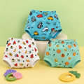 Padded Underwear Pack of 3